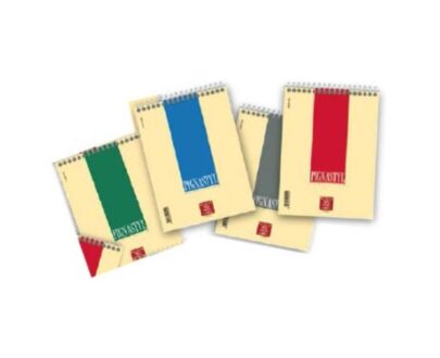 Block notes A5 spiralato PIGNASTYL rigatura 5M (QUADRETTI 5 MILLIMETRI)