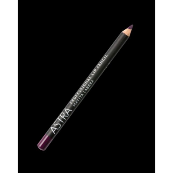 PROFESSIONAL LIP PENCIL 45