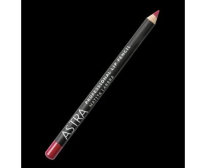 PROFESSIONAL LIP PENCIL matita labbra 42