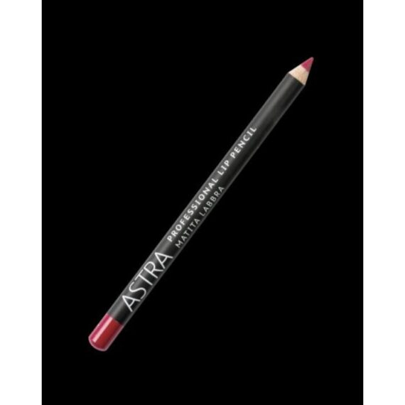 PROFESSIONAL LIP PENCIL matita labbra 42