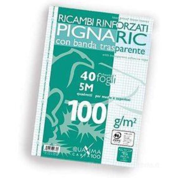 RICAMBI 5MM RINFORZATI 100GR A4 - 40 FOGLI - PIGNA